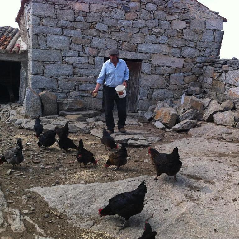 Casa Rural El Linaje De Los Cinco Sombreros Gallegos De San Vicente Eksteriør billede